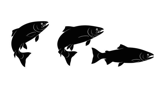 Three black fish swimming together.