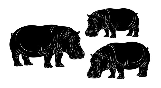 Three black hippopotamuses standing side by side.