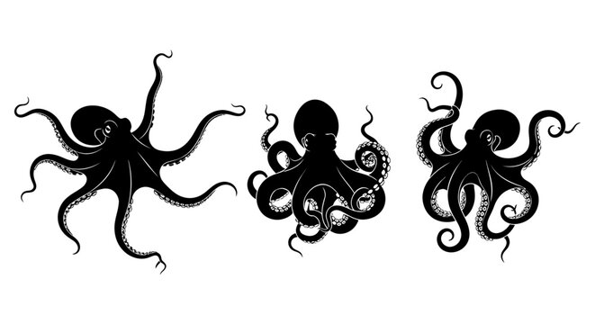 Three Black Silhouette Octopus Tentacles Marine.