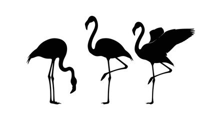 Naklejka premium Three Flamingos in Black Silhouette Standing 1.