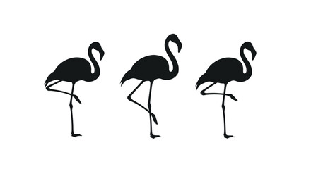 Naklejka premium Three Flamingos Standing Side by Side 1.