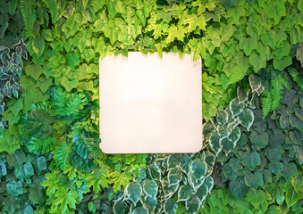 Vertical Garden Background with Blank Display Panel Modern Green Wall Design © Zayyan 