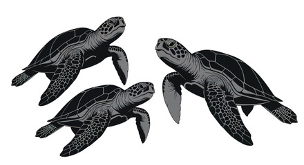 Obraz premium Three sea turtles swimming together 1.