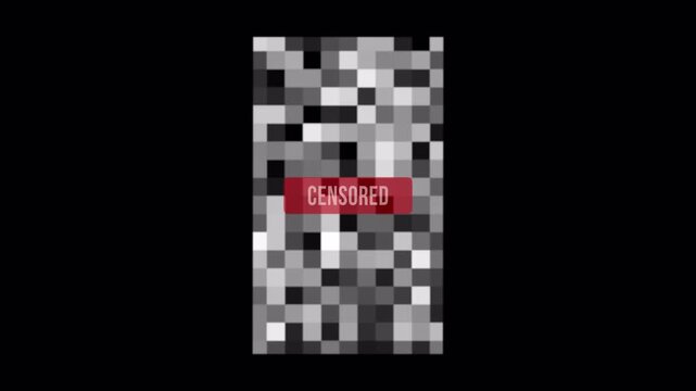 Vertical Pixel Censored Overlay Animation With Alpha Channel