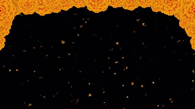 Day of the Dead decoration with cempas&uacute;chil, animation of falling petals, Festivity in Mexico. marigold alpha channel