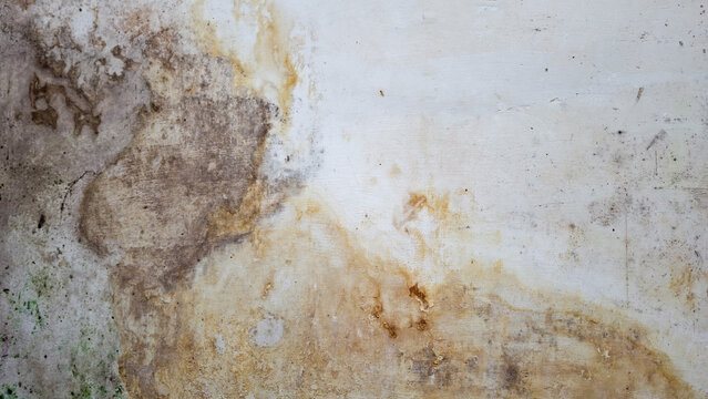 Severe water damage on a stucco wall Featuring yellowish stains, dark mold growth, and peeling paint from moisture leaks. Perfect for home repair or renovation themes