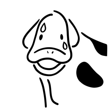 Panicking cow sweating with sweat drops, nervous anxious bovine illustration, line art sticker