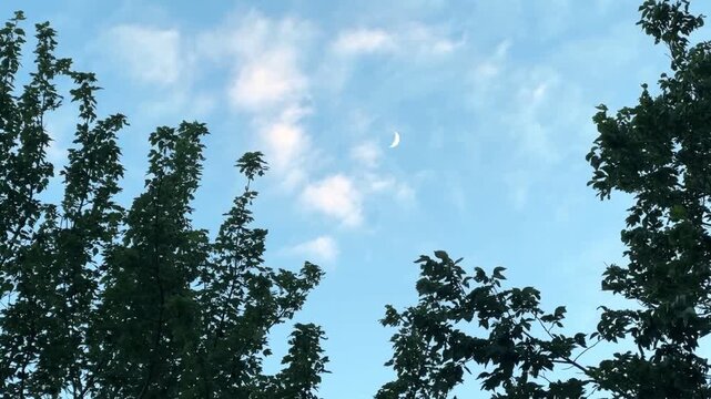 Daytime Moonslice with Cloud Drift