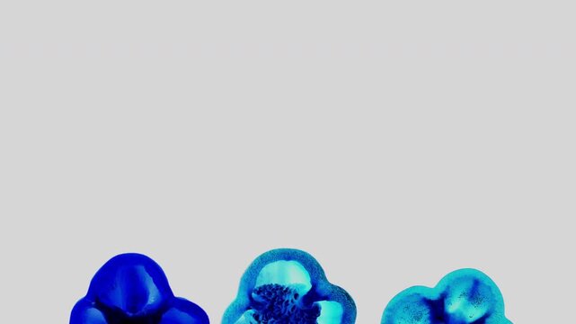 60p animated background featuring inverted color pepper slices rotating along the bottom of the frame with large copy space for text, titles or advertising