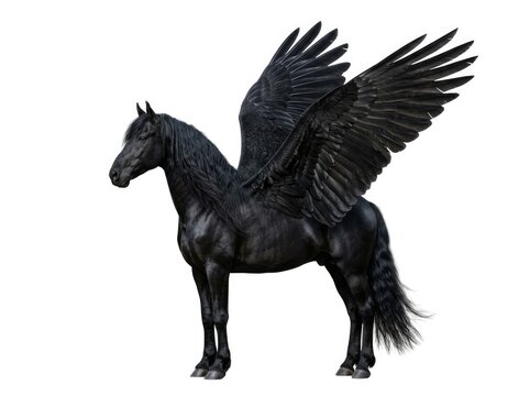 A majestic black pegasus with large, dark wings spread wide, standing on a white background. The mythical creature exudes power and grace
