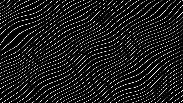 White Grey abstract curved wavy lines twist motion on black background.Visual white wavy line on black motion background.Minimal abstract thin white color wavy line moving background.