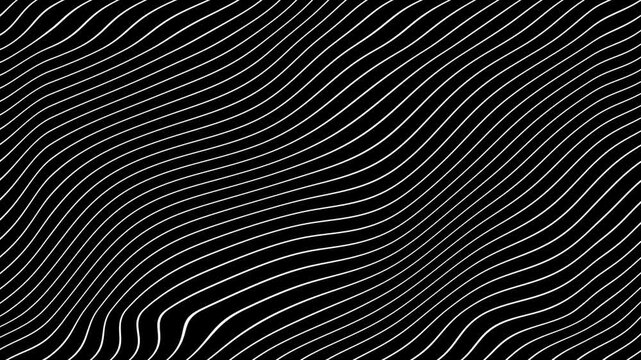 White Grey abstract curved wavy lines twist motion on black background.Visual white wavy line on black motion background.Minimal abstract thin white color wavy line moving background.