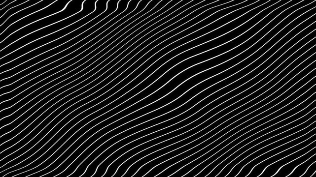 White Grey abstract curved wavy lines twist motion on black background.Visual white wavy line on black motion background.Minimal abstract thin white color wavy line moving background.