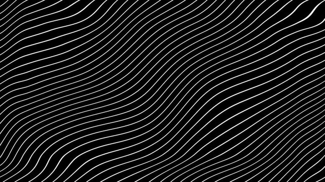 White Grey abstract curved wavy lines twist motion on black background.Visual white wavy line on black motion background.Minimal abstract thin white color wavy line moving background.