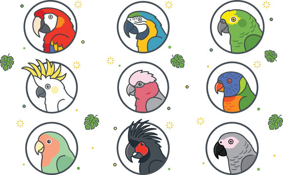 Set of cute tropical parrot avatar icons in circles featuring macaw cockatoo african grey rainbow lorikeet and lovebird vector cartoon designs