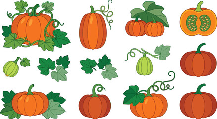 Cartoon pumpkin vector element set with fresh autumn squash orange vegetables green leaves vines and cut slice isolated on white background © Md abusufian
