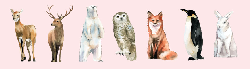 Obraz premium Vector set of diverse animals including deer, polar bear, owl, fox, penguin and rabbit