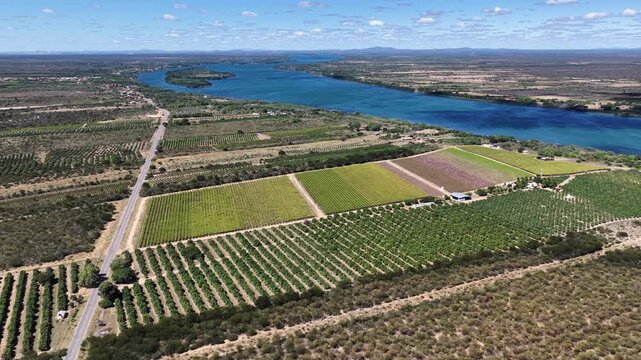 Sao Francisco Valley In Juazeiro Bahia Brazil. Breathtaking Agriculture Field Scene In The Rural Landscape. Delta Nature Forest Background Hydrography Bay. Forest Background Landmark Forest.