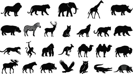 Fototapeta premium Black and white of diverse animals walking in a row diverse species