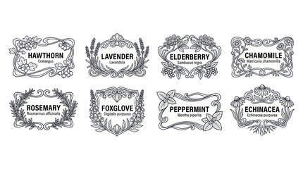 Herbal Remedies Labels Collection: Hawthorn, Lavender, Elderberry, Chamomile, Rosemary, Foxglove, Peppermint, Echinacea © Roni