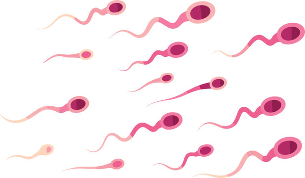 Human sperm cells swimming flat vector illustration, fertility biology and reproductive medicine concept elements isolated on background