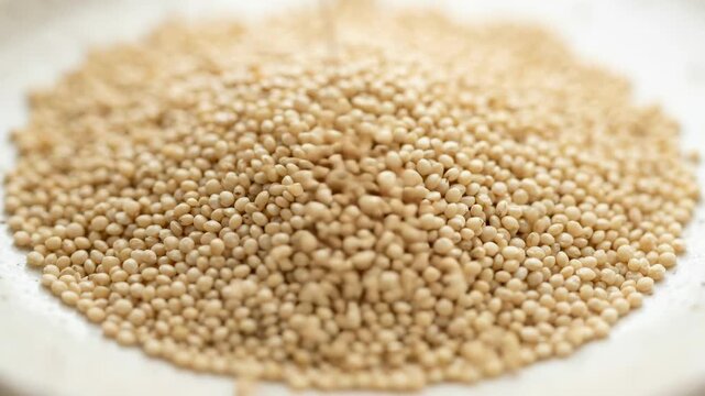 Close Up of Amaranth Grains in a Bowl, Healthy Eating Ingredient