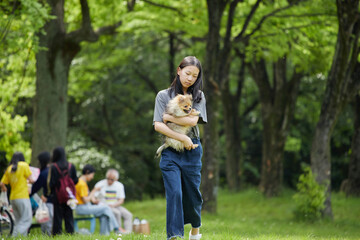 Fototapeta premium 春の公園で楽しく可愛いポメラニアンの子犬と散歩する十代の女の子の姿