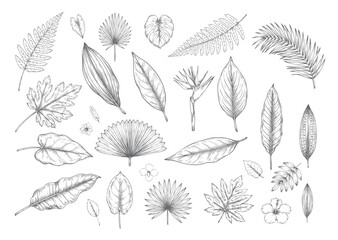 Antique botanical tropical leaf seamless repeat pattern collection © Sadhana