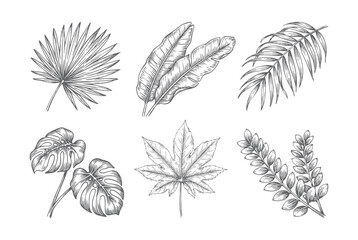 Vintage botanical foliage seamless pattern featuring tropical leaf illustrations © Sadhana