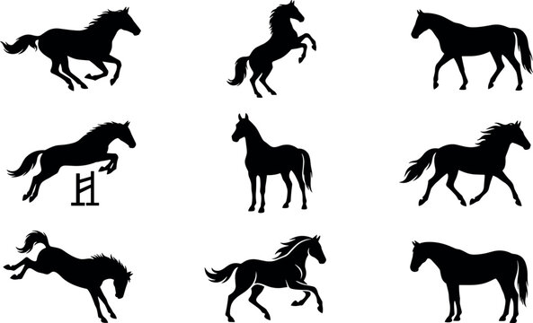 Black horse silhouettes vector set featuring wild stallions in various poses including running jumping trotting rearing and standing isolated on white background