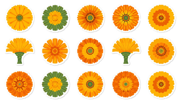 A collection of 15 stylized, flat design illustrations of calendula flowers in various stages of bloom and color variations, presented on a white background.