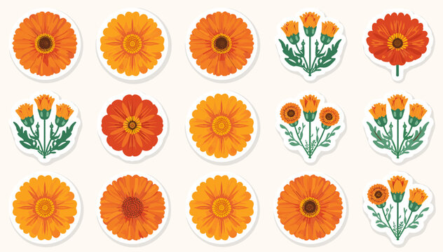 A collection of vibrant orange calendula flowers and buds, presented as individual stickers on a white background.