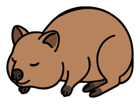 Quokka sleeping peacefully isometric vector illustra.... Generative AI