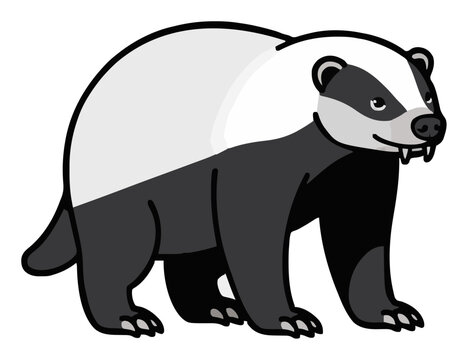Honey badger wildlife animal vector illustration. Generative AI
