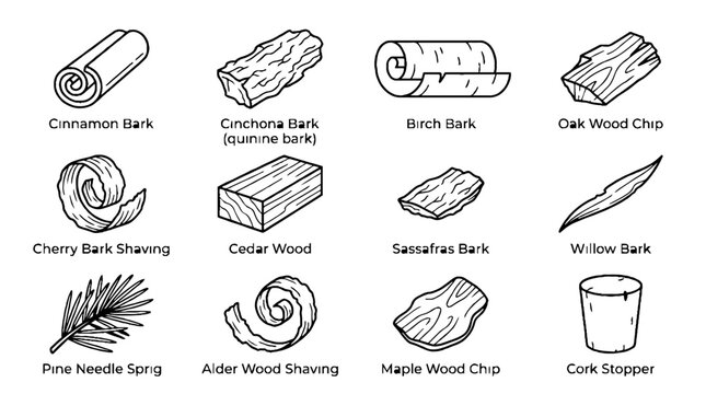 Collection of various wood bark and timber species line art illustrations.