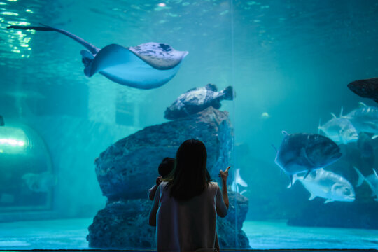 Asian mother holding her baby boy, watching big fish swimming in a giant aquarium tank.