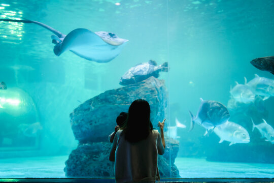 Asian mother holding her baby boy, watching big fish swimming in a giant aquarium tank.