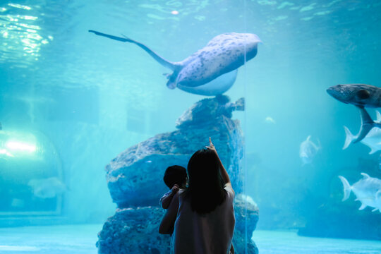 Asian mother holding her baby boy, watching big fish swimming in a giant aquarium tank.