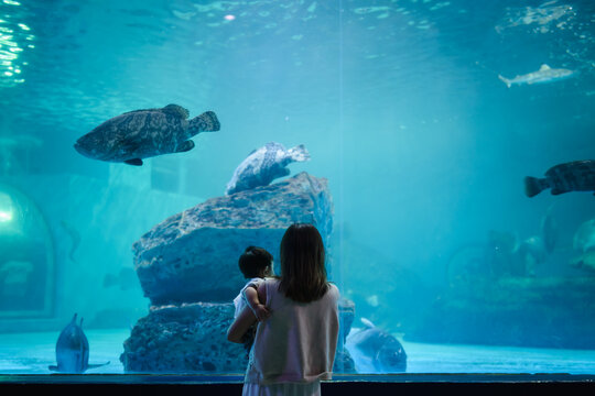 Asian mother holding her baby boy, watching big fish swimming in a giant aquarium tank.