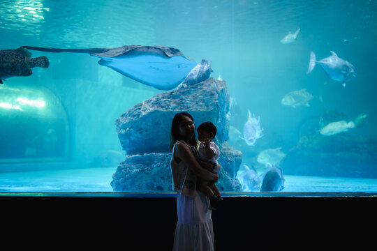 Asian mother holding her baby boy, watching big fish swimming in a giant aquarium tank.