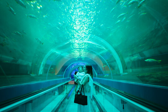 Asian mother holding her baby boy, watching big fish swimming in a giant aquarium tank.