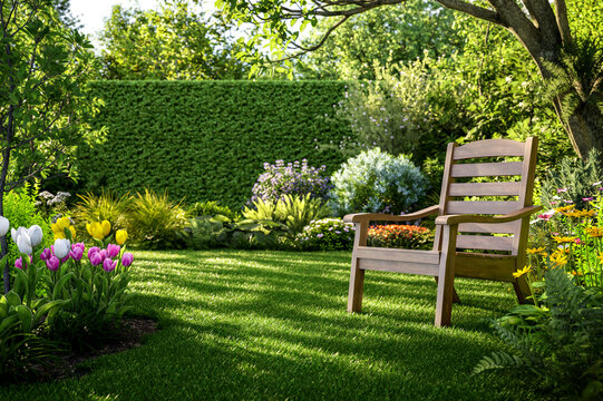 Peaceful backyard garden with a wooden bench and colorful flowers, 3d render