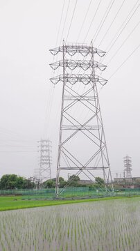 梅雨の雨が降る田植え直後の水田と背景にそびえ立つ送電鉄塔。等倍再生