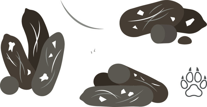 Animal Scat and Track Icon Set Featuring Wildlife Poop Droppings and Paw Print Vectors for Outdoor Education and Nature Identification