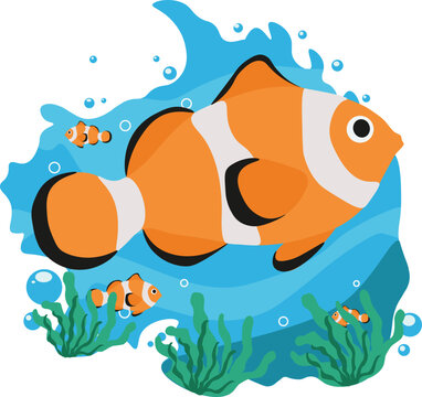 cute_clown_fish_sea_world