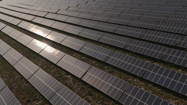 Aerial view of a large renewable energy solar panels farm with rows of photovoltaic modules reflecting sunlight in a rural landscape in Portugal.
