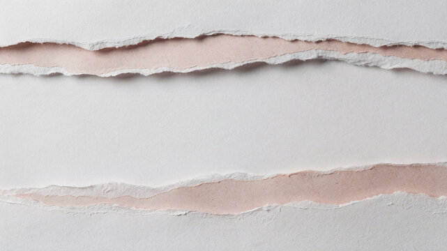 torn paper background
