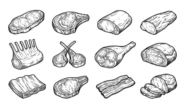 Vintage Hand Drawn Raw Meat Cuts Vector Set with Beef Pork Lamb and Ham Food Sketch Collection
