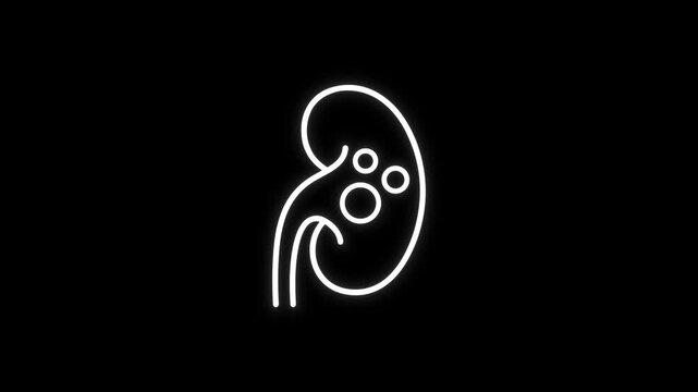 Animated Kidney Stone Medical Loop Black Background