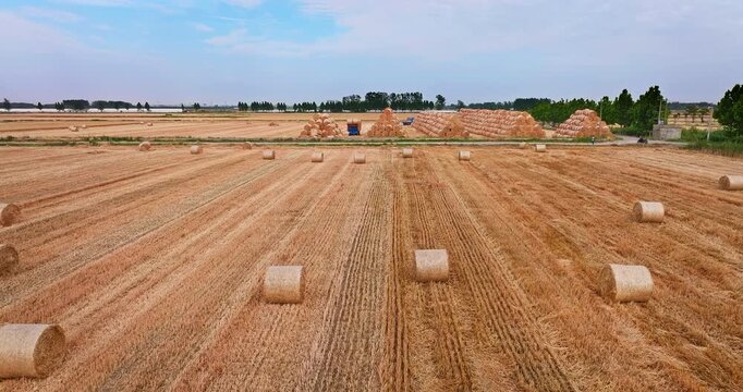 Aerial view of round hay bales in golden agricultural fields after harvest